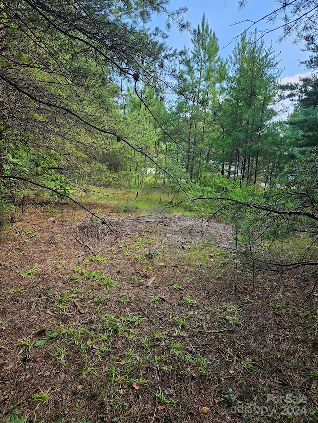 Listing photo 3 for 0 Pumkin Patch, Rutherfordton NC 28139