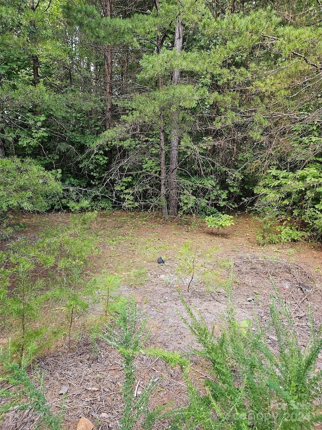 0 Pumkin Patch, Rutherfordton, NC 28139 - photo 5