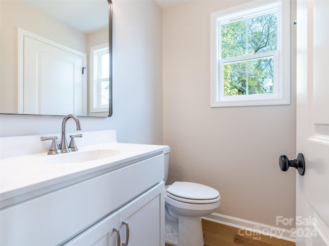 bathroom featuring vanity, toilet, and hardwood / wood-style flooring