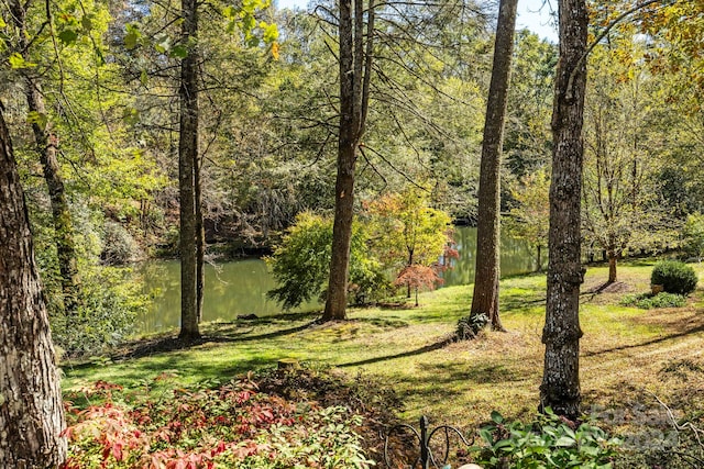 view of yard featuring a water view