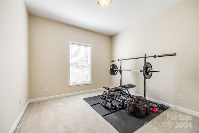 exercise area featuring light colored carpet