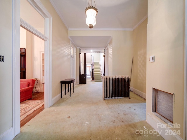 corridor with crown molding, light hardwood / wood-style floors, and radiator