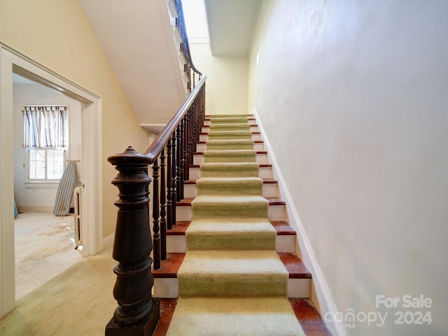 staircase featuring carpet floors