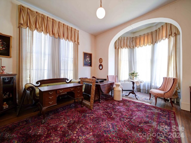 sitting room featuring radiator heating unit and dark hardwood / wood-style flooring