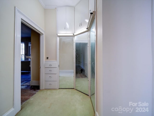 corridor with crown molding and light colored carpet