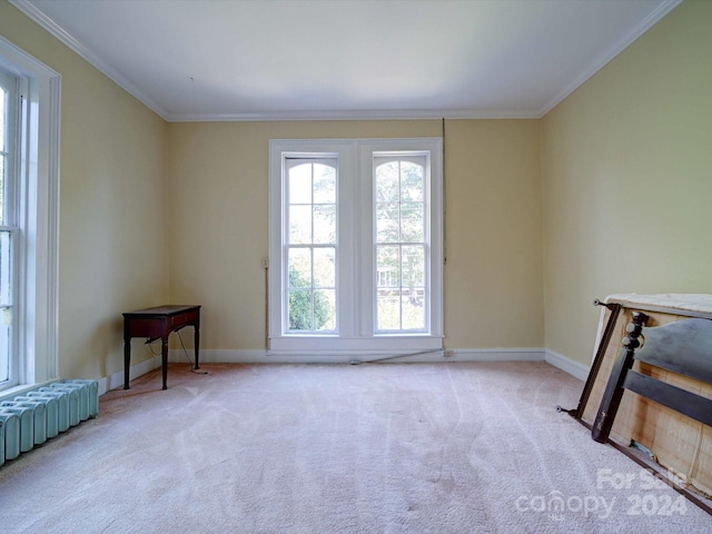 carpeted empty room with ornamental molding and radiator