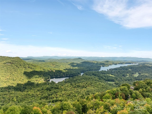 property view of mountains with a water view