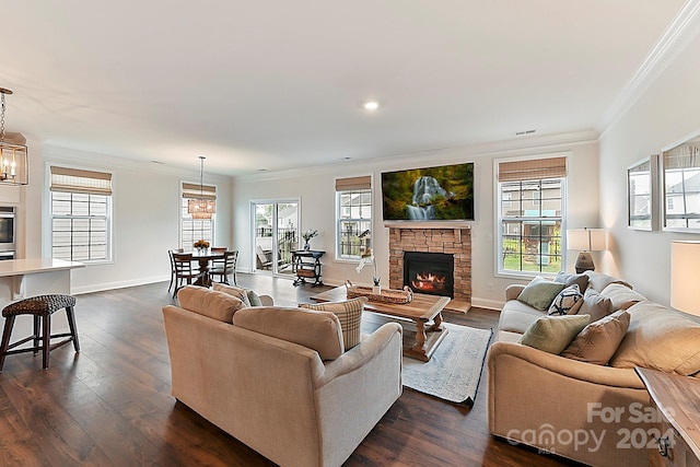 living room featuring a stone fireplace, ornamental molding, dark wood-type flooring, and a notable chandelier