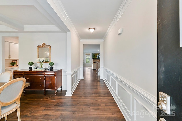 corridor with ornamental molding, dark wood finished floors, a wainscoted wall, and a decorative wall