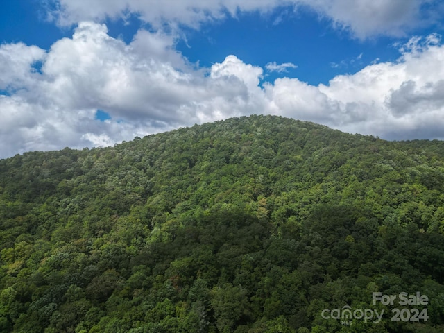 TBDOff Vineyard Loop, Pisgah Forest NC, 28768 land for sale