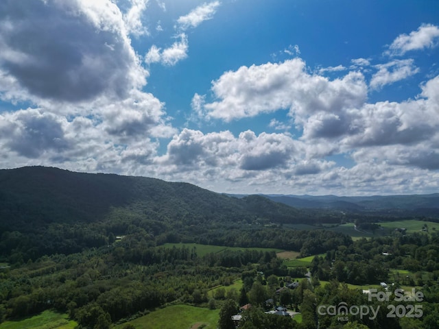 TBDOff Vineyard Loop, Pisgah Forest, NC 28768