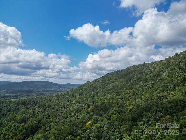 TBDOff Vineyard Loop, Pisgah Forest, NC 28768