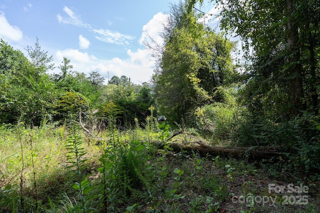 TBDOff Vineyard Loop, Pisgah Forest, NC 28768