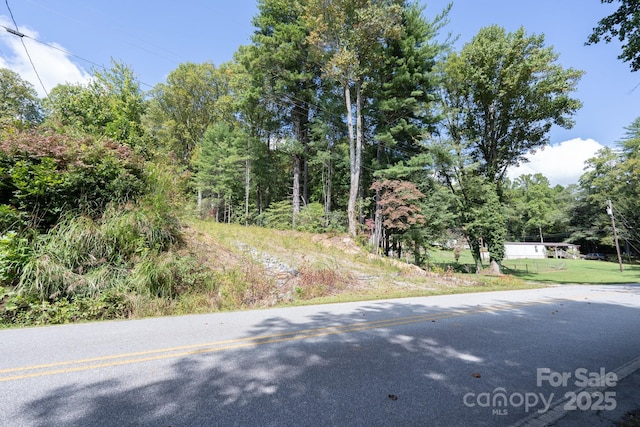 TBDOff Vineyard Loop, Pisgah Forest, NC 28768