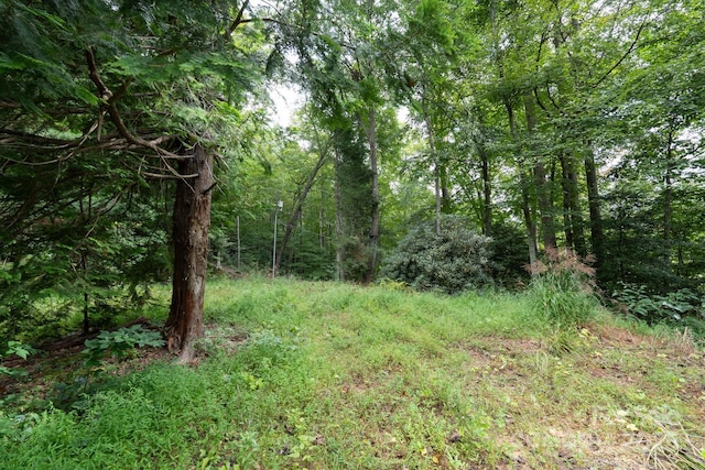 TBDOff Vineyard Loop, Pisgah Forest, NC 28768