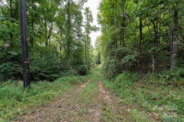 TBDOff Vineyard Loop, Pisgah Forest, NC 28768
