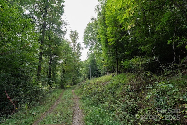 TBDOff Vineyard Loop, Pisgah Forest, NC 28768