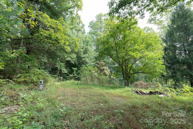 TBDOff Vineyard Loop, Pisgah Forest, NC 28768