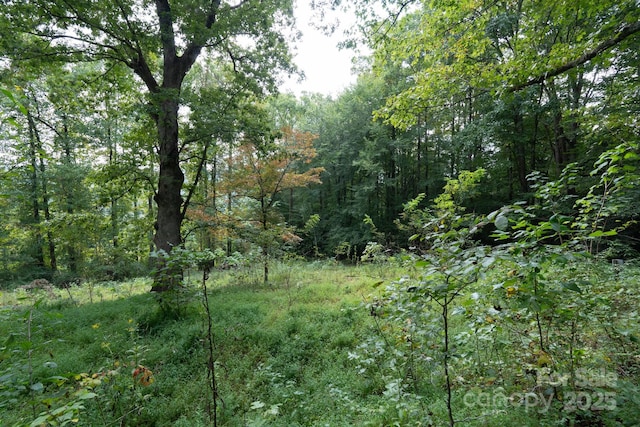 TBDOff Vineyard Loop, Pisgah Forest, NC 28768