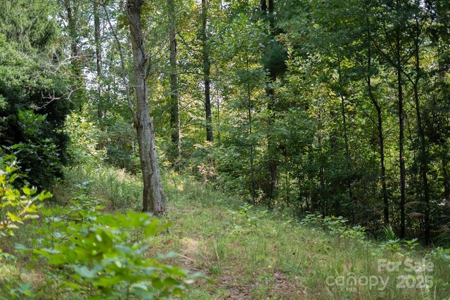 TBDOff Vineyard Loop, Pisgah Forest, NC 28768