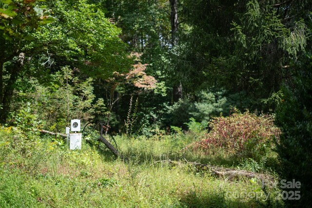 TBDOff Vineyard Loop, Pisgah Forest, NC 28768