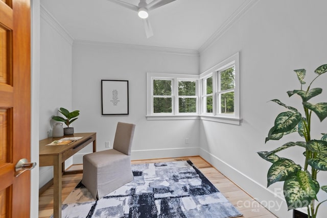 home office featuring crown molding, light hardwood / wood-style floors, and ceiling fan