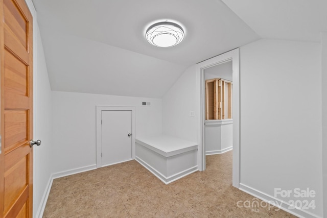 bonus room with lofted ceiling