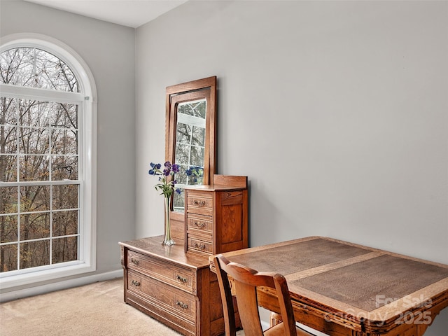 view of carpeted office space