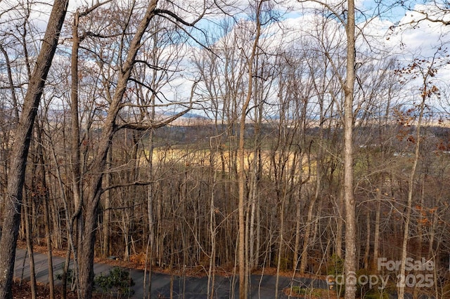 345 Ravenwood Ln, Horse Shoe, NC 28742 - photo 33