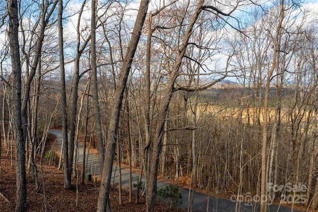 345 Ravenwood Ln, Horse Shoe, NC 28742 - photo 34