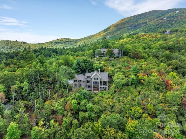 birds eye view of property featuring a mountain view