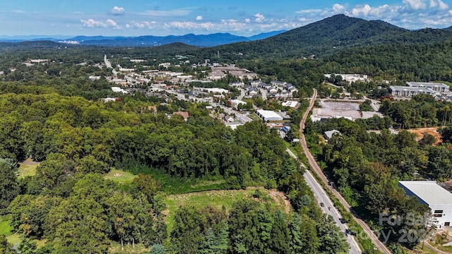 1945 Hendersonville Rd, Asheville, NC 28803 - photo 7