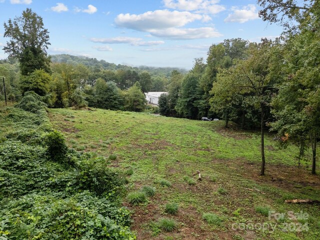 1945 Hendersonville Rd, Asheville, NC 28803 - photo 10