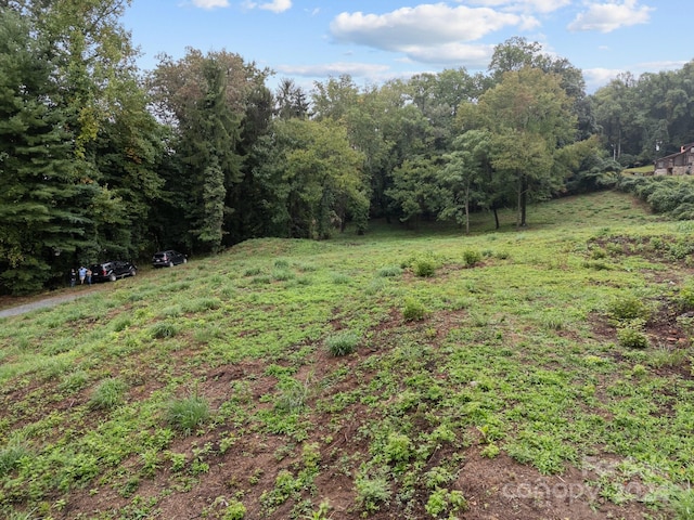1945 Hendersonville Rd, Asheville, NC 28803 - photo 12