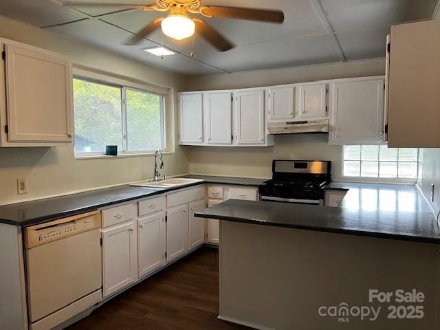 kitchen with stainless steel range, dishwasher, white cabinets, and sink