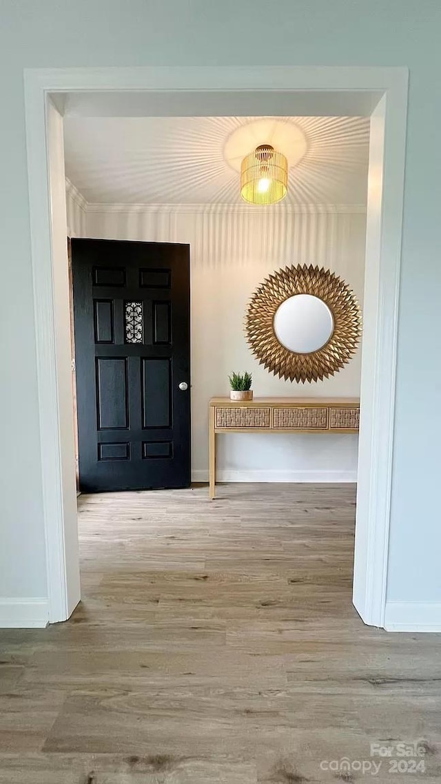 hallway with wood-type flooring