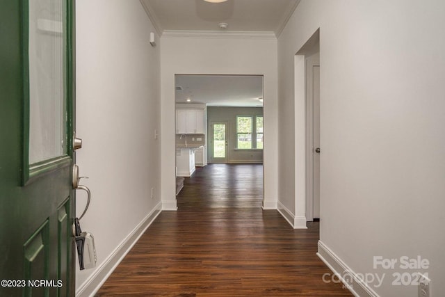 hallway with ornamental molding and dark wood-type flooring