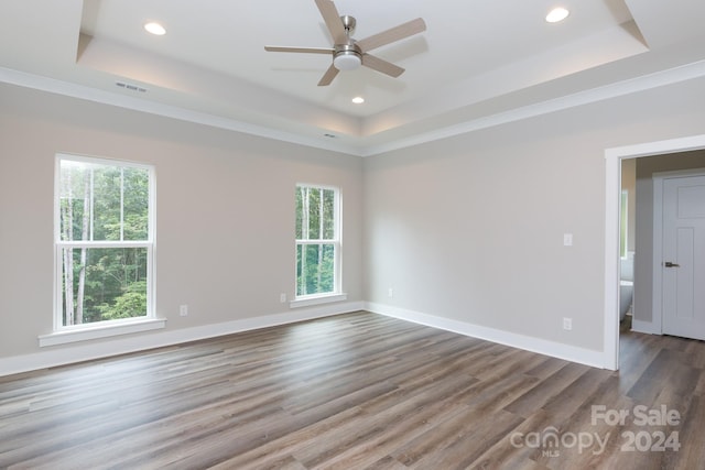 empty room featuring ceiling fan, a tray ceiling, and plenty of natural light