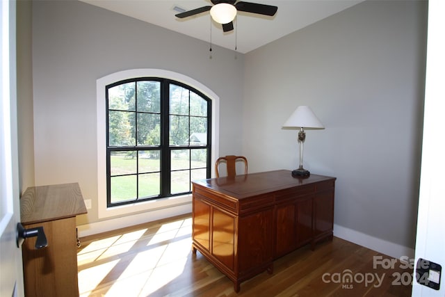 office space featuring light hardwood / wood-style flooring and ceiling fan