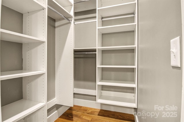 walk in closet featuring wood finished floors