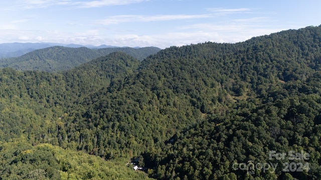 9999 Kelses Valley Dr, Mars Hill, NC 28754