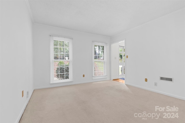 carpeted spare room with a textured ceiling and ornamental molding