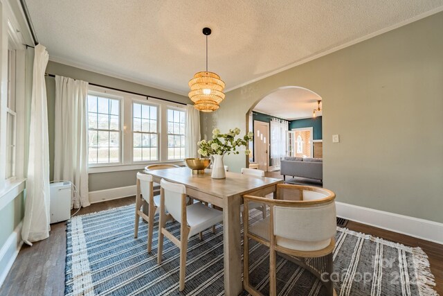 dining room with dark hardwood / wood-style flooring, ornamental molding, and a textured ceiling