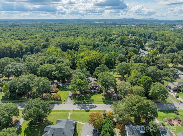 bird's eye view