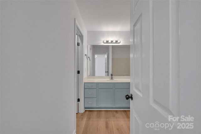 bathroom with hardwood / wood-style floors and vanity