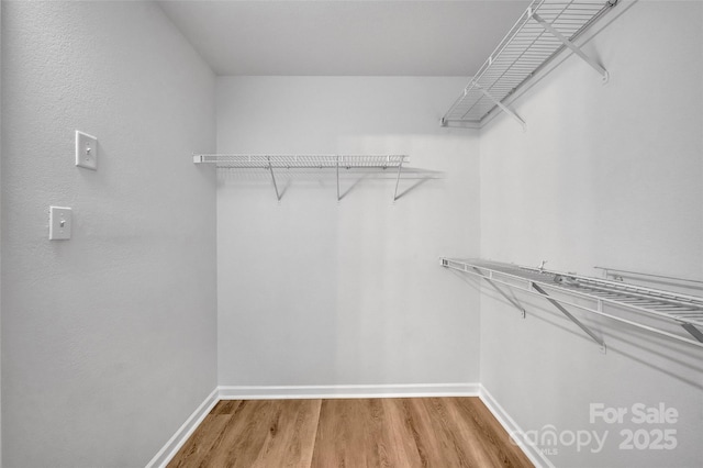 spacious closet with hardwood / wood-style flooring