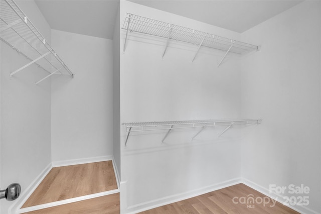 walk in closet featuring wood-type flooring