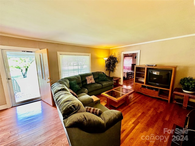 living room with wood-type flooring, plenty of natural light, and crown molding