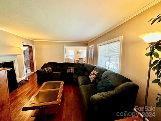 living room featuring ornamental molding and dark wood-type flooring