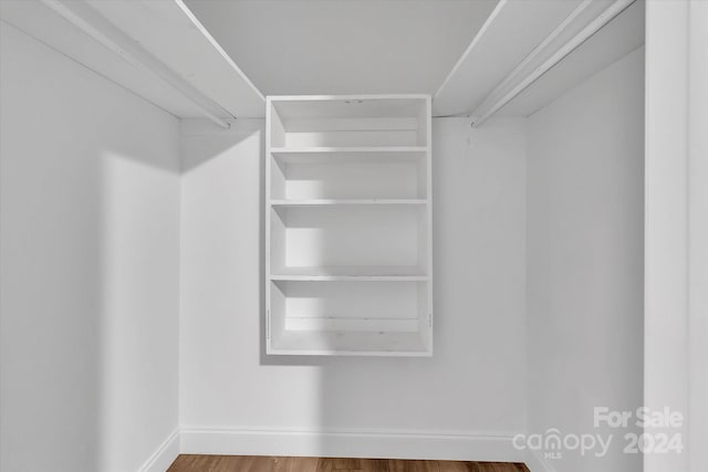 spacious closet featuring wood-type flooring